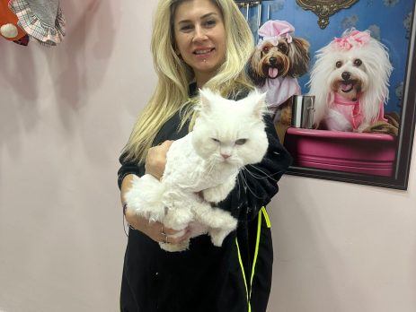 Beylikdüzü Pet Kuaför